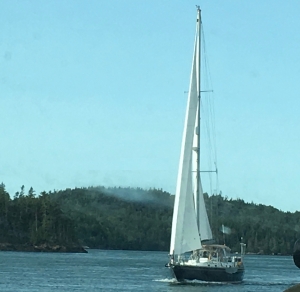 sailboat on the bay