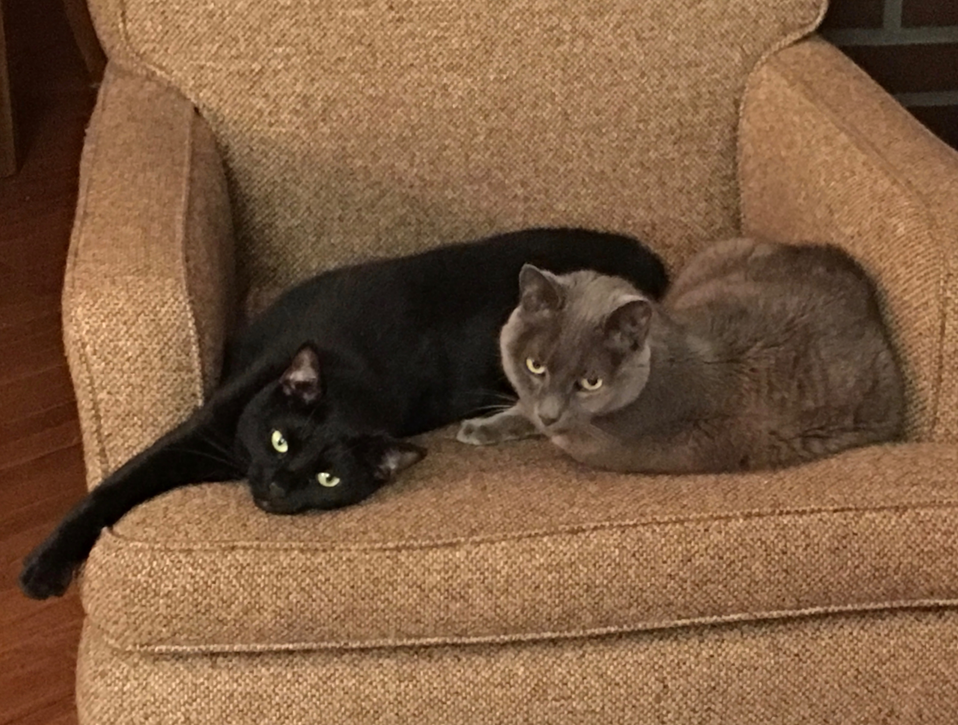 Didn't happen often but they DID get along